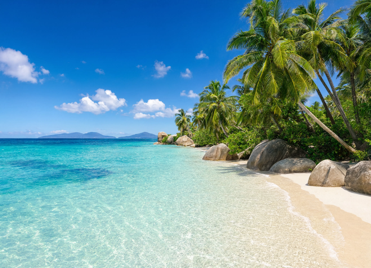 Tropical Beach Crystal Water