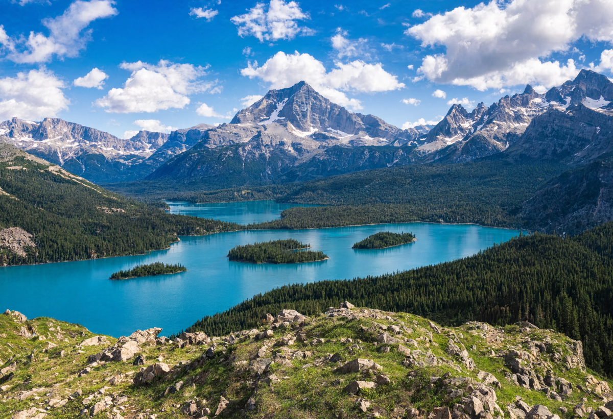 Bright Adventure Landscape