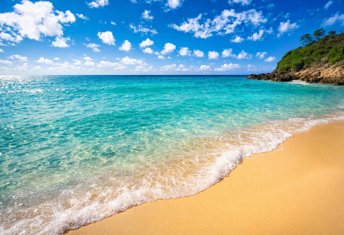 Beautiful Ocean Landscape 2