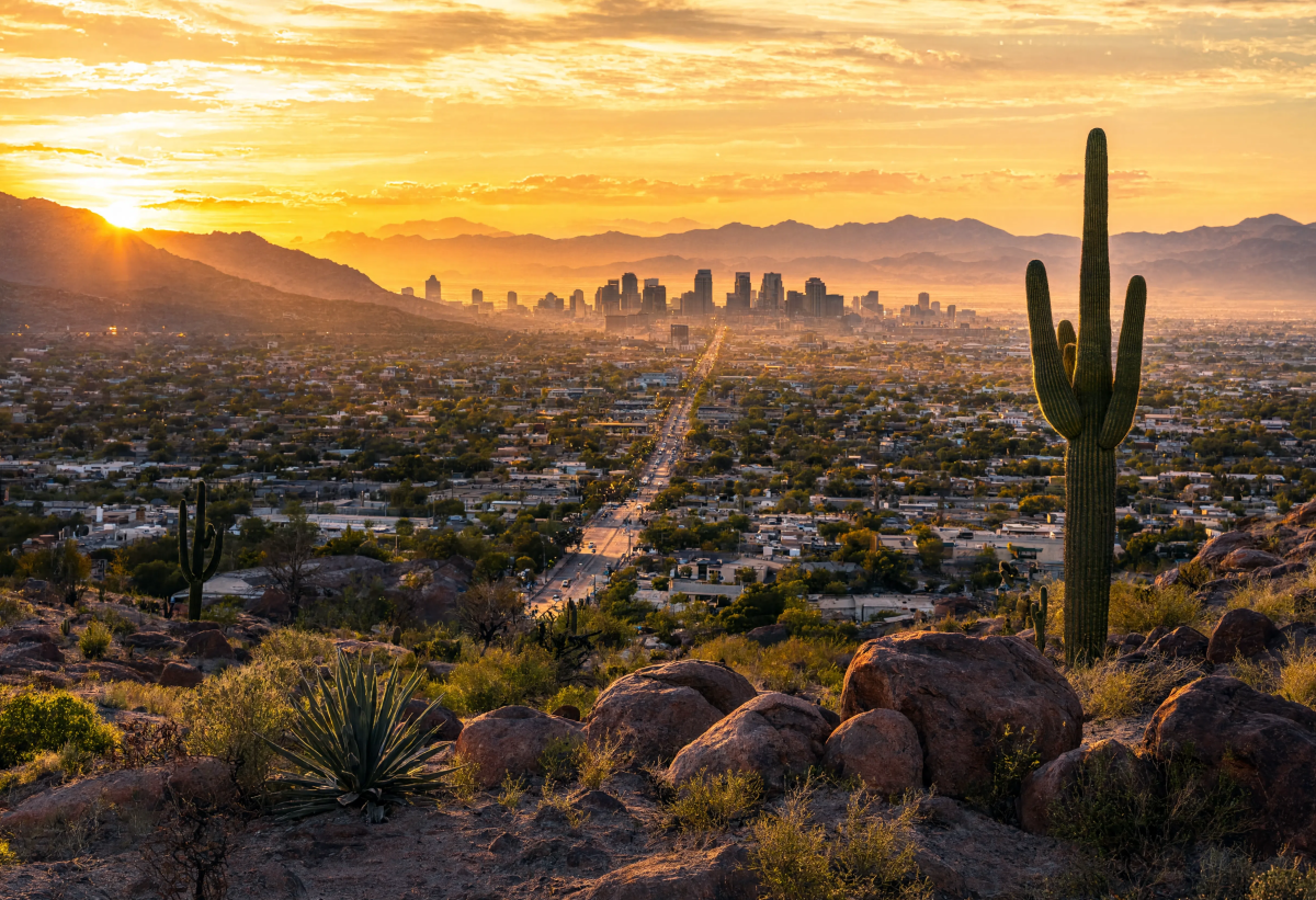 Desert Landscape Urban