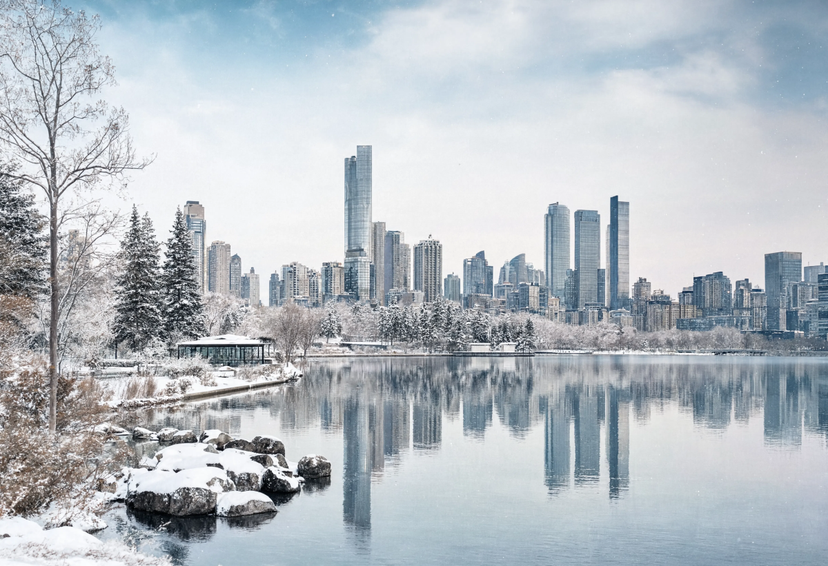 Lake composition winter