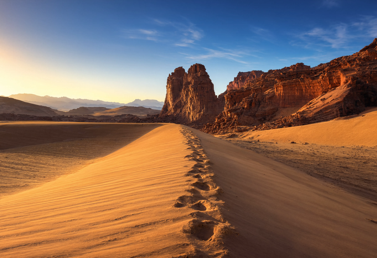 Beautiful Desert Perspective 2