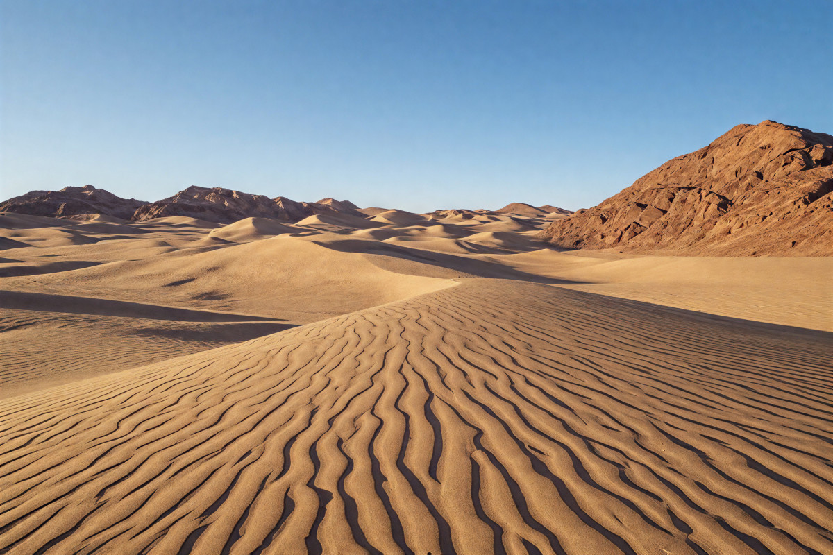 Bright Desert Moment