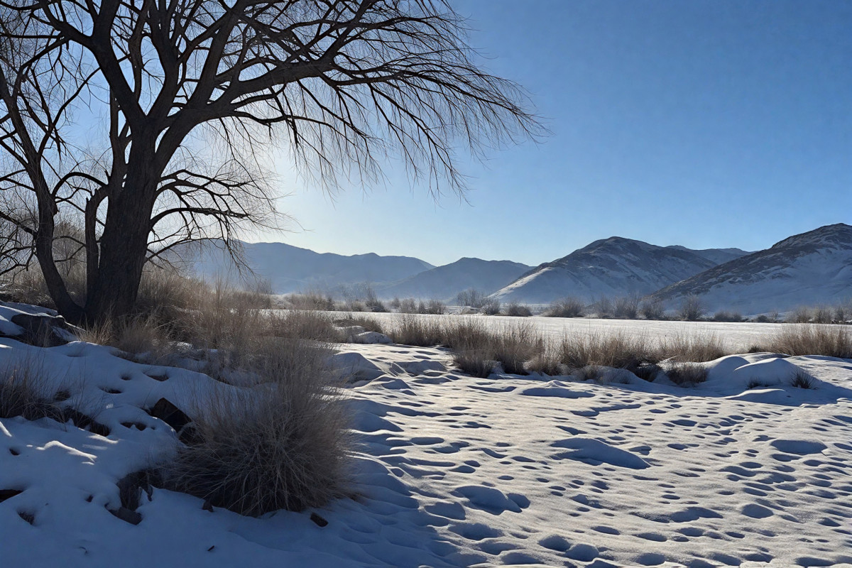 Winter Landscape Wallpaper