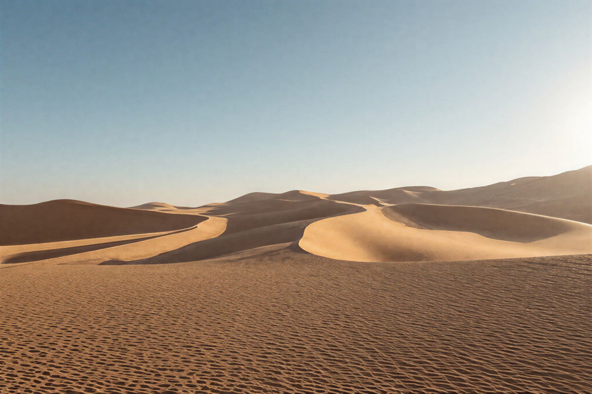 Bright Desert Moment Landscape