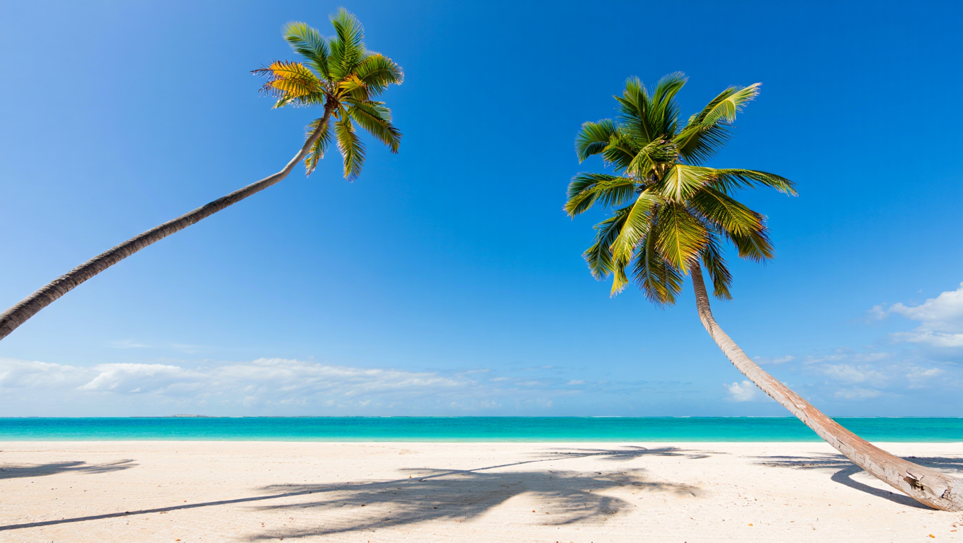 Three tall palm trees with curved, graceful trunks and green feathery fronds stand on a pristine white sandy beach