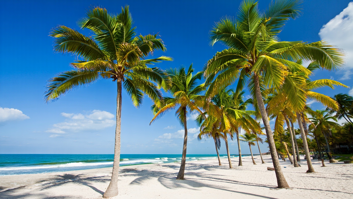 Tall palm trees with green fronds stand along a white sandy beach during daytime