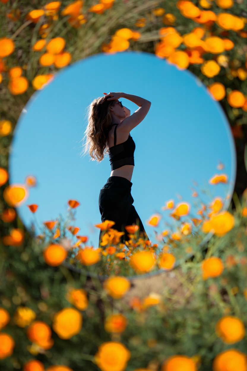 A creative conceptual photograph captures a circular mirror placed among vibrant orange California poppies