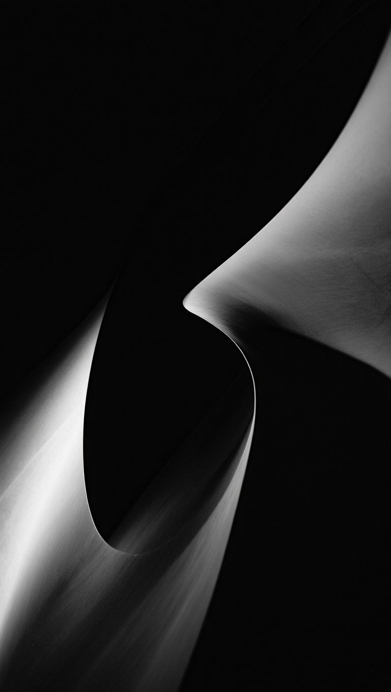 A black and white abstract photography featuring two smooth, curved, organic shapes against a solid black background