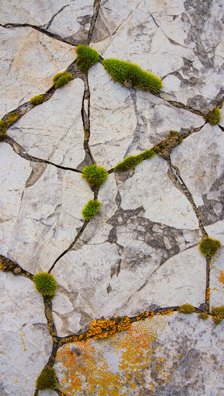 Gray marble moss patches