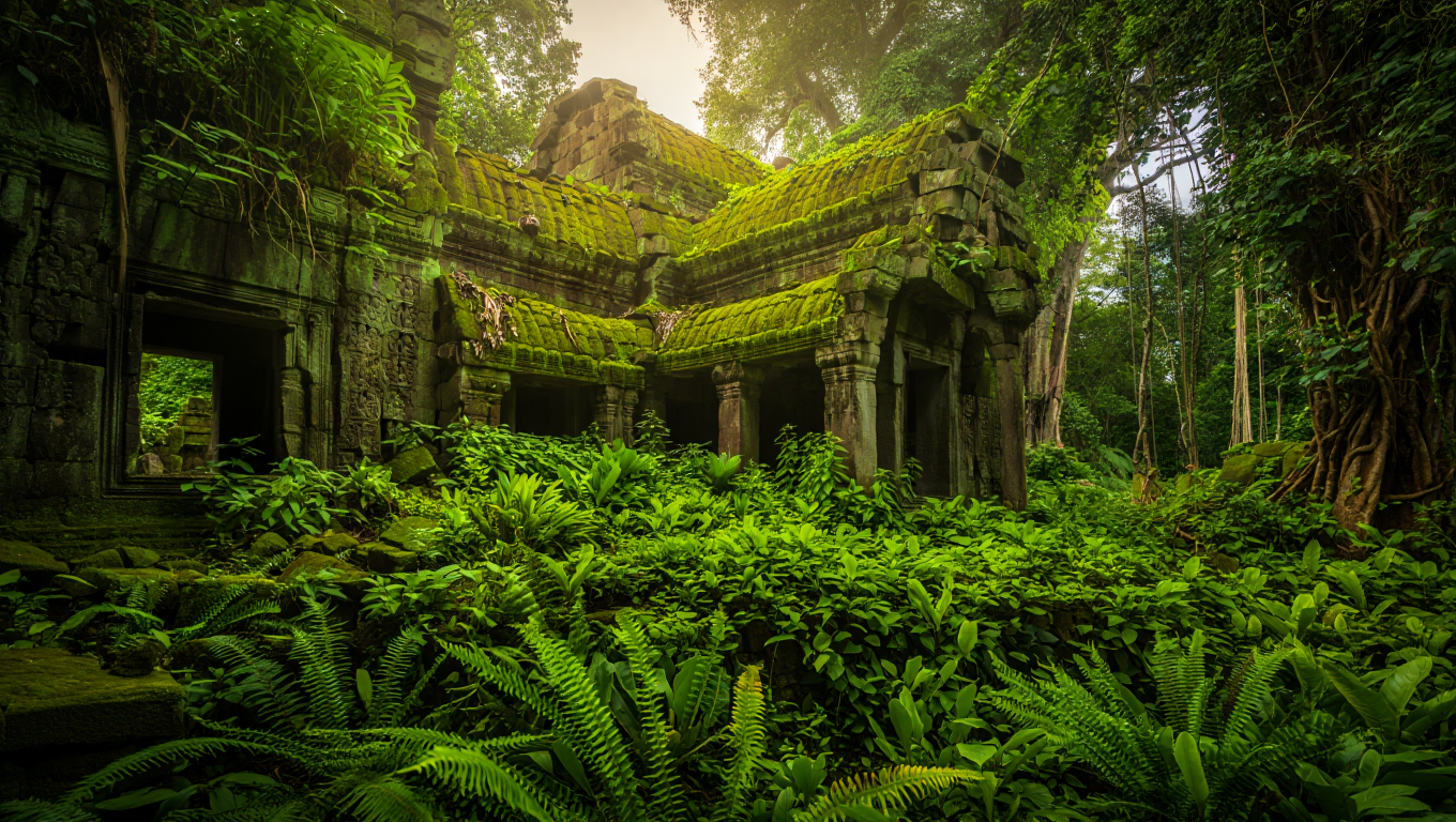 Overgrown temple ruins